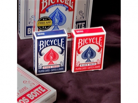 W Bicycle MINI Rider Back