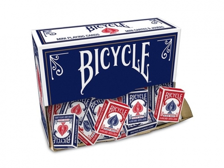 W Bicycle MINI Rider Back